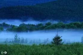 小说：这个女人驯马竟然使用这种招数，把马驯得服服贴贴图片