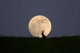 今天，我看了十次月亮图片
