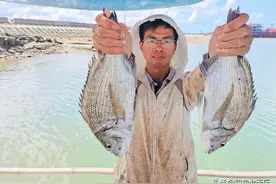 广东90后小伙辞职去钓鱼，出海垂钓月入上万！为何仍笑不出来图片