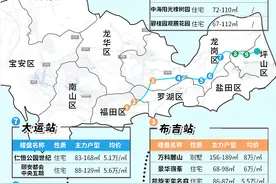 深圳地铁14号线买房地图曝光！坪山有这些新盘可选（收藏版）图片