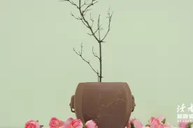 真正的人生，从五十岁开始图片