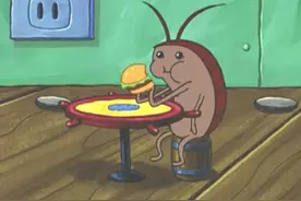 胆小者慎入！让猛男落泪的“南方小强”，为什么在中原频频出现？图片