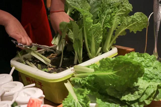 喝了花胶鸡汤 难受 2026年喝了花胶鸡汤 难受怎么办 喝了花胶鸡汤 难受 2026年喝了花胶鸡汤 难受怎么办