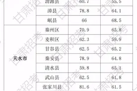 2020年甘肃三支一扶各县区第一名成绩图片