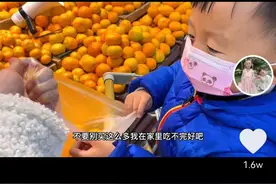 田静带3岁儿子奇奇买水果，孩子一句话道出幸福奥秘图片