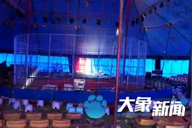 被黑熊撕咬驯兽师发声：表演时有观众投掷火腿肠，捡起后没喂给黑熊引发意外图片