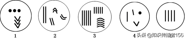 生物必修2复习知识点