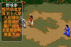 《金庸群侠传》公认最好的武功秘籍，想学会需要一点小牺牲图片