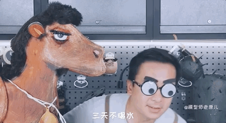 骆驼的驼峰竟然不是用来存水的？那它靠啥在沙漠里笑嘻嘻？