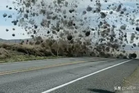 俄罗斯生物入侵全球，堵塞河道、围堵村庄，为何在中国难以成年？图片