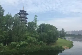 城市绿心——洋湖湿地公园图片