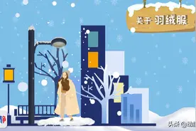 动静有数丨羽绒服为什么要用鸭子和鹅的羽毛？越厚越保暖吗？图片