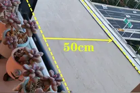 买到腰线层的房子，阳台外面腰线宽50公分，装个栏杆留着养花草图片