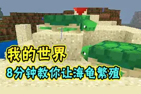 我的世界：8分钟教你让海龟繁殖，孵出小海龟