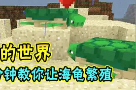 我的世界：8分钟教你让海龟繁殖，孵出小海龟