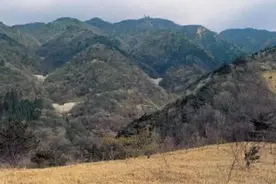 俗语：“青龙作案，家财万贯”，啥意思？图片