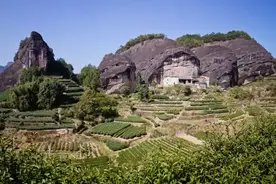 大观 | 不是富二代，却是更牛逼的茶二代图片