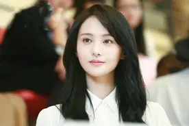 郑爽最高或判刑7年，沈腾邓超魏大勋等多位艺人注销工作室图片