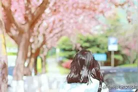 云游河北 | 唐山遵化的春，怎一个“美”字了得！图片