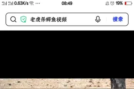 只有虎可以灭掉鬣狗图片