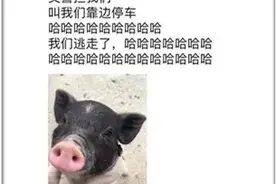 "交警拦我们，我们逃走了" 这夫妻29个“哈哈……”发朋友圈，是炫耀还是嘲笑图片