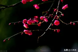 本是后山人，偶做前堂客：丁元英的“自嘲”究竟嘲笑谁？图片