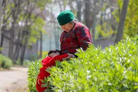 85岁的柘城老奶奶，在柘城彻底火了！图片