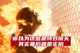 误以为是特效的实拍镜头：烧焦的人是卫生纸糊的，百万豪车随便砸图片