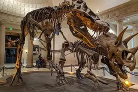 三角龙和霸王龙是对老冤家，揭晓《方舟生存进化》恐龙的神秘面纱图片