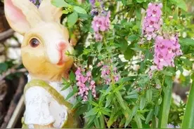 网上盛传的轻断食，究竟有没有效果图片