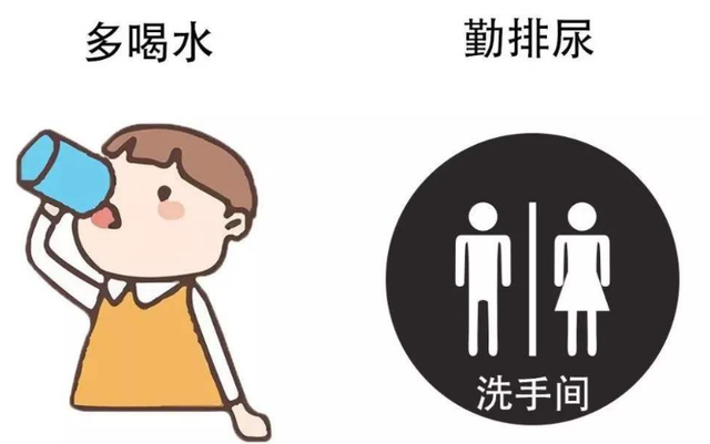一个不起眼的病—尿路感染为什么会引发肾盂肾炎?
