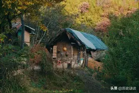 终南山“隐士”超过上万人，都是看破红尘了？当地人：别再被骗了图片