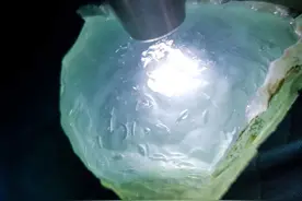 今天带大家看看历年缅甸公盘的标王图片