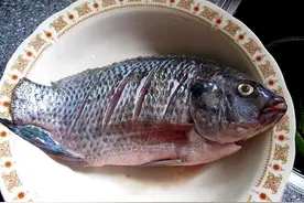 鲫鱼别炖汤啦！这种做法，连鱼刺都能好吃，外皮焦脆，肉质细腻图片