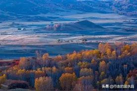 十月，乌兰布统的秋色已近尾声，草原的红色仍然耀眼，美不胜收图片