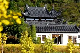 「云游宁德」还在发愁六一带孩子到哪玩？福安及周边这些好地方任你选图片