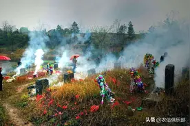 农村清明扫墓讲究“前三后四，左五右六”，这个农俗真有点难懂图片