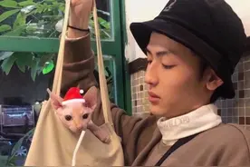 你 喜 欢 的 我 都 有  ..图片