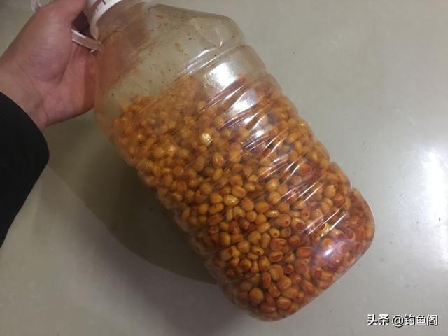 老玉米一煮一泡变窝料，密封两天就能用，野钓打窝效果真好