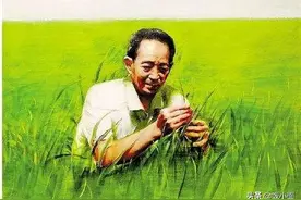 “水稻之子”袁定阳：袁隆平衣钵唯一传人，媳妇遭爹“刁难”5年图片