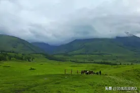 人生，没有事事如意图片