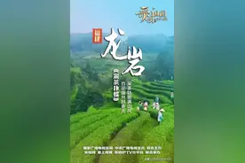 学习强国“每日一曲”，今天推荐龙岩《采茶扑蝶》图片