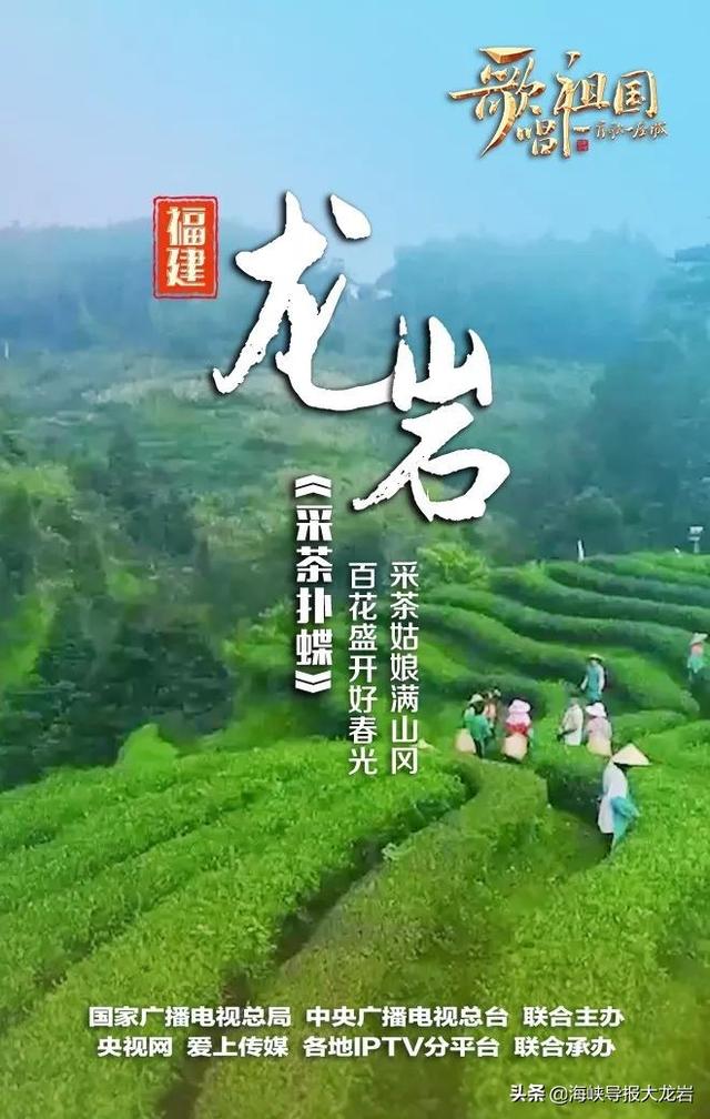 采茶扑蝶简谱歌词（学习强国每日一曲）
