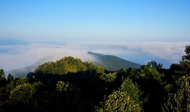 重阳登高,十堰这些赏秋名山不容错过