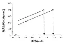 影响跑步运动耐力的生理学与生物力学因素图片