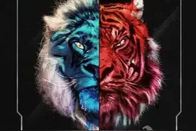狮虎谁强谁弱颇具争议，一组大数据告诉你，老虎稳坐第一把交椅！图片