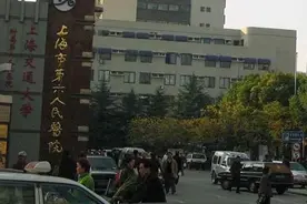 「六院故事」跟党走，办实事！上海市第六人民医院开创骨质疏松防治新局面图片