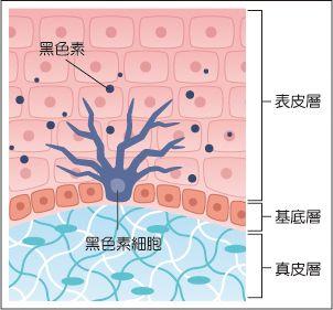 被颜值魅惑！为冲动埋单！放弃皂基选氨基酸洗面奶使用两年吐心声