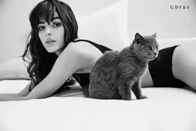 “后浪”袭来，内衣市场改朝换代图片