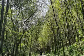 走向荒野，你能过上这样的生活吗？“瓶中户县酒，墙上终南山”图片